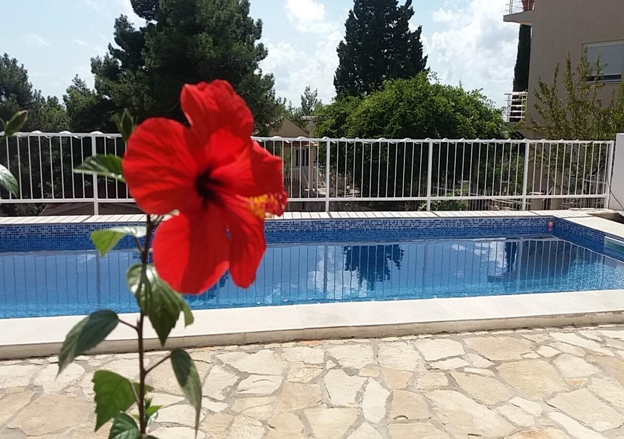 Apartment Tijana Bar Dış mekan fotoğraf
